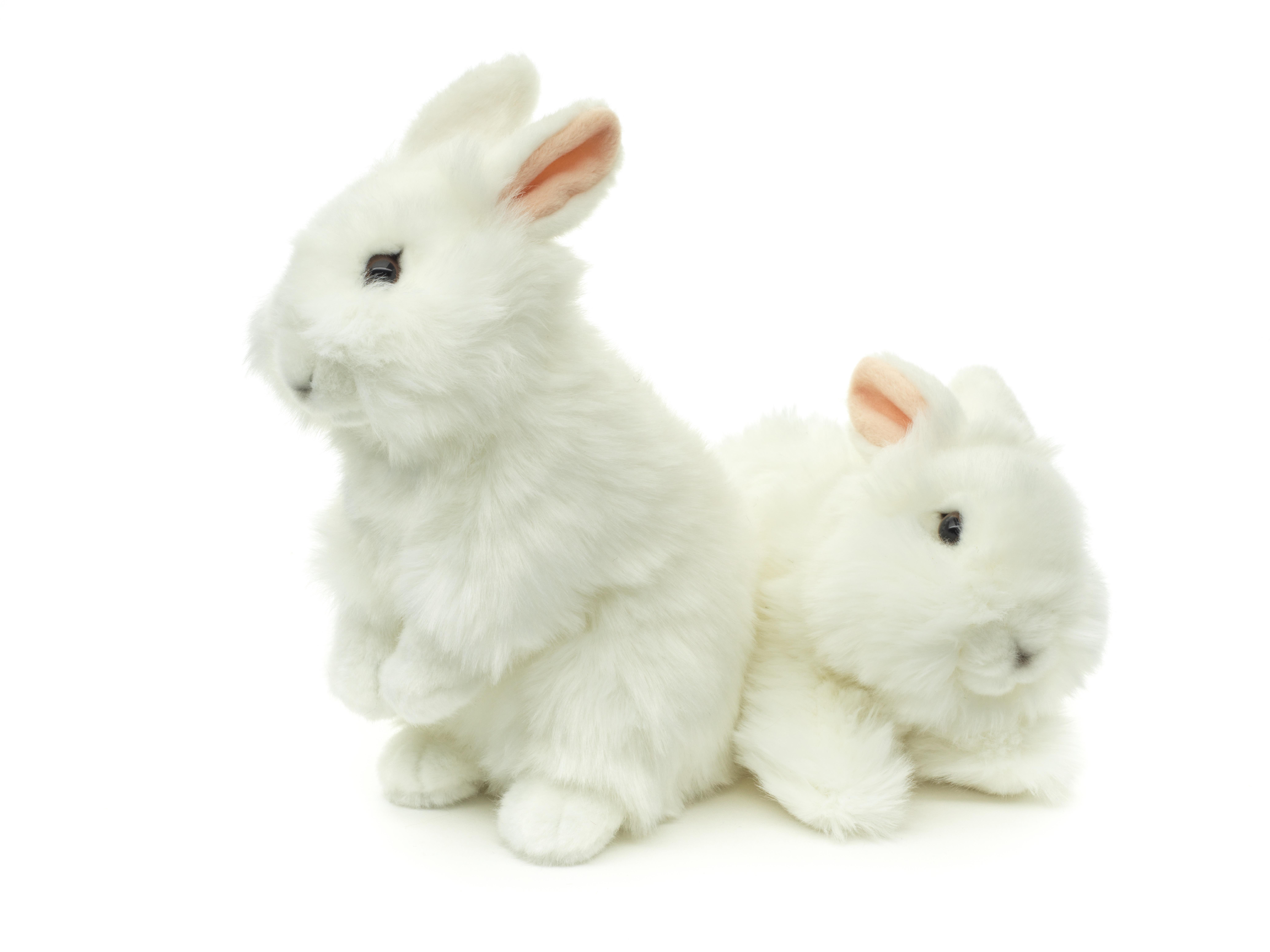 VERSCHIEDENE Löwenkopf-Kaninchen (weiß) - Mit aufgestellten Ohren - 23 cm (Höhe)  