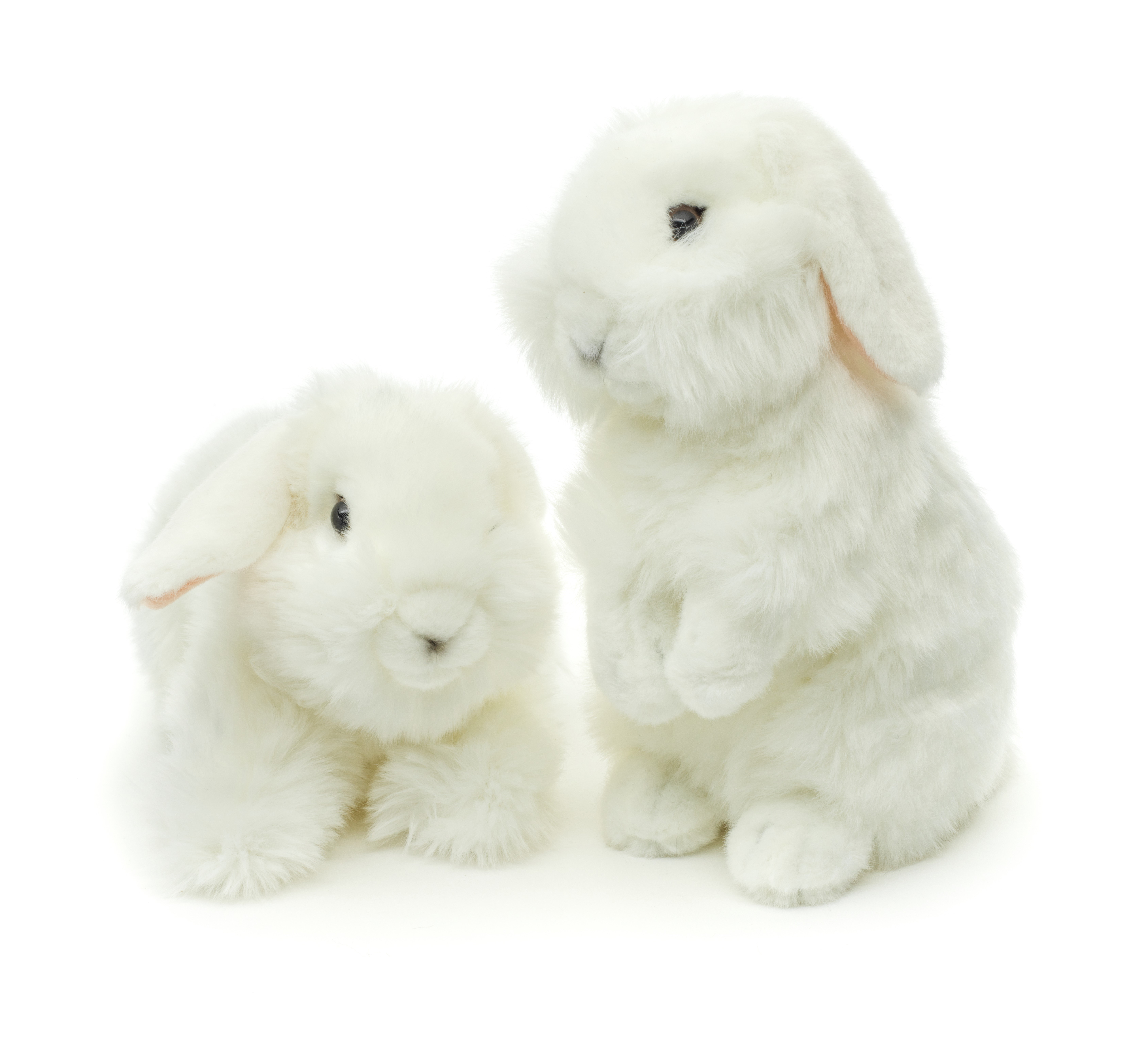 VERSCHIEDENE Löwenkopf-Kaninchen (weiß) - Mit hängenden Ohren - 23 cm (Höhe) 