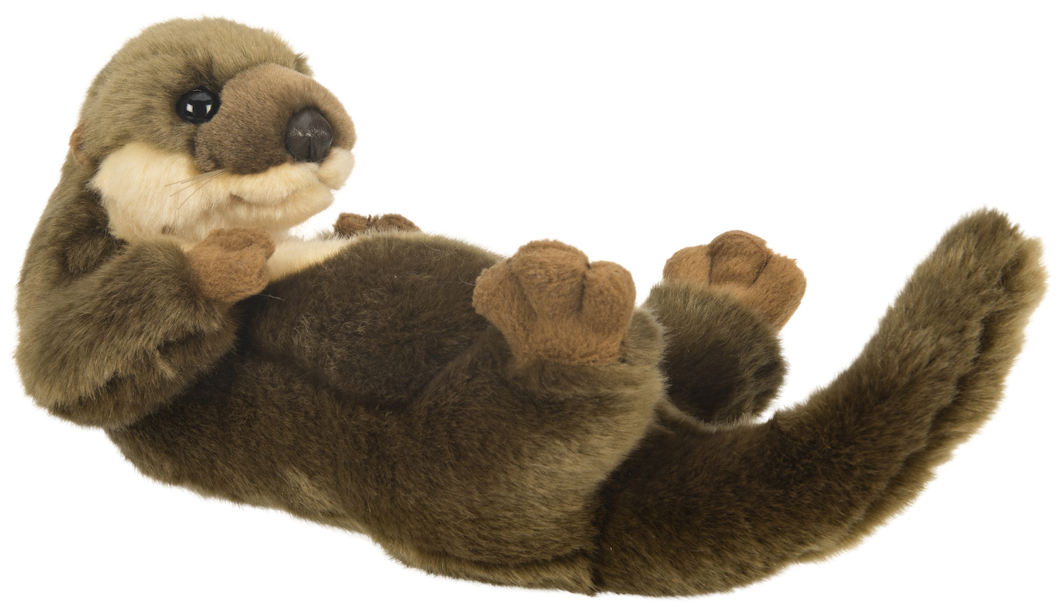 Otter Rückenschwimmer - 26 cm (Länge) 